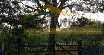 CI 404  Esta propriedade vai te atender.  Grande oportunidade, terreno com 3 ha, escriturado e registrado, 200m2 de área construída, perto de Aroeiras.